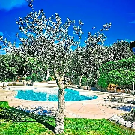 Geco Di Giada Exclusive Art * Olbia
