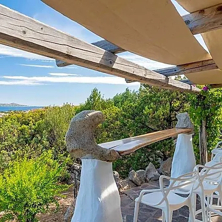 Geco Di Giada Exclusive Art * Olbia